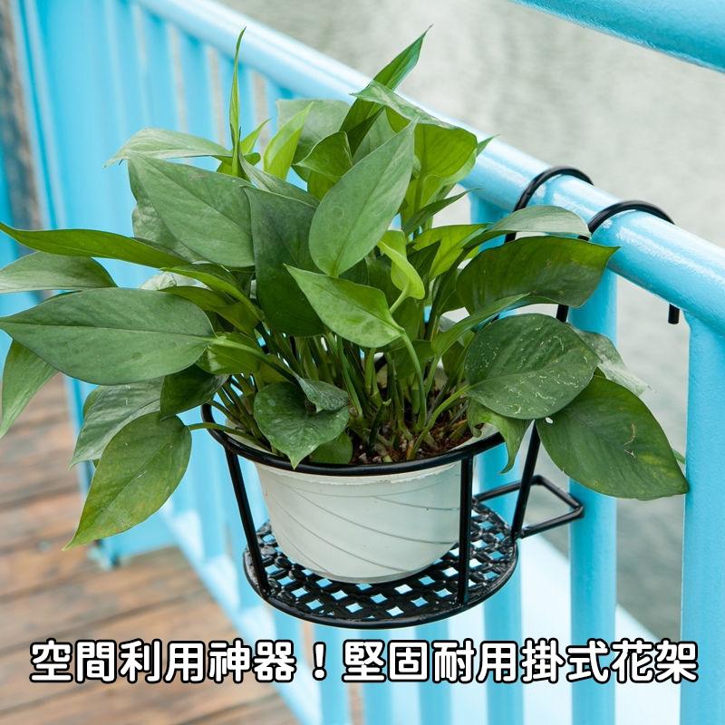 【隔日到貨🔥懸掛式花盆架】掛式花架 園藝掛架 花盆掛架 單盆掛架 陽台花架 室外花盆掛架 盆栽掛架-細節圖2
