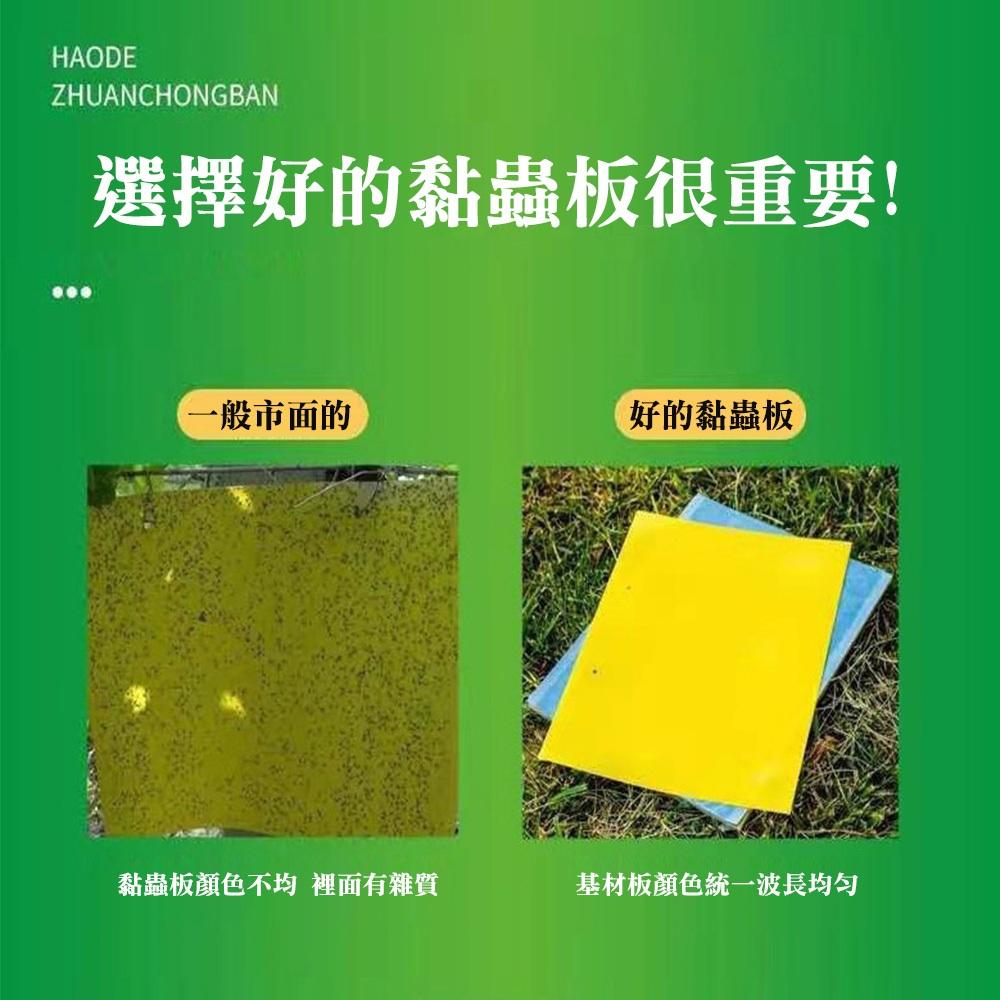 【蝦皮隔日到貨🔥】黏蟲片捕蟲板 誘蟲板 庭院農作物 夏天必備 果蠅 蒼蠅 小飛蟲 菜園 果園 黏鼠板-細節圖2