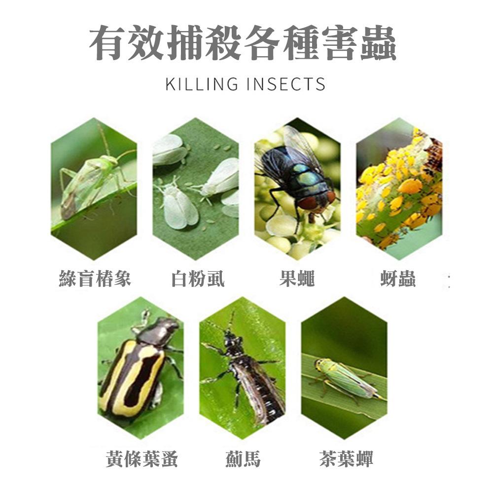 【蝦皮隔日到貨🔥】黏蟲片捕蟲板 誘蟲板 庭院農作物 夏天必備 果蠅 蒼蠅 小飛蟲 菜園 果園 黏鼠板-細節圖4
