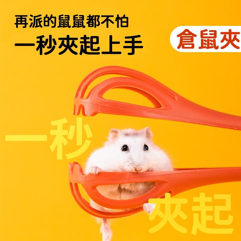 【隔日到貨🔥】倉鼠夾 倉鼠夾子 防抓咬夾 抓倉鼠神器 抓老鼠夾子 倉鼠三線鼠 金絲熊 寵物夾 抓鼠夾-細節圖2