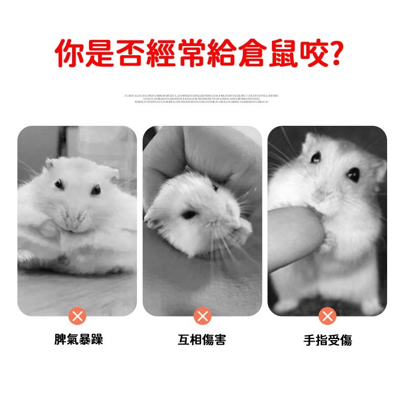 【隔日到貨🔥】倉鼠夾 倉鼠夾子 防抓咬夾 抓倉鼠神器 抓老鼠夾子 倉鼠三線鼠 金絲熊 寵物夾 抓鼠夾-細節圖4