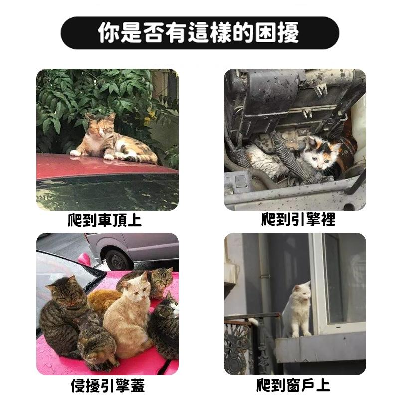 【台灣現貨🔥】驅貓神器 趕貓膏 驅貓膏 長效驅趕 無毒無害 不傷寵物 防抓防咬 寵物忌避劑 驅貓劑 亂尿橘子味 防抓-細節圖4