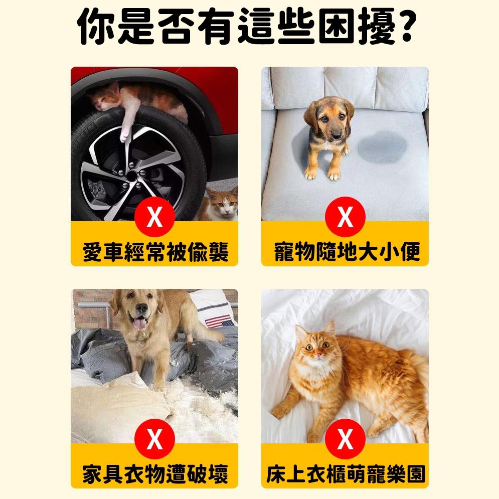 【台灣現貨🔥】驅貓神器 趕貓膏 驅貓膏 長效驅趕 無毒無害 不傷寵物 防抓防咬 寵物忌避劑 驅貓劑 亂尿橘子味 防抓-細節圖5