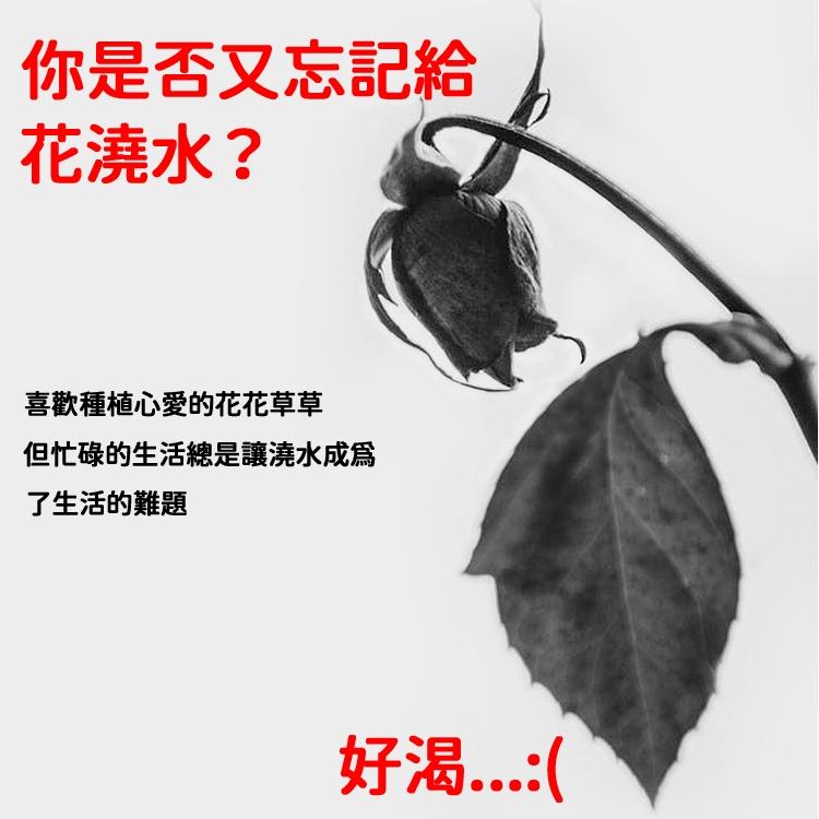 【現貨 免運🔥澆水器】自動澆水器 滴水器 澆花 澆水器 澆花器 可調節澆花器 澆花神器 盆栽澆水 園藝用品-細節圖6