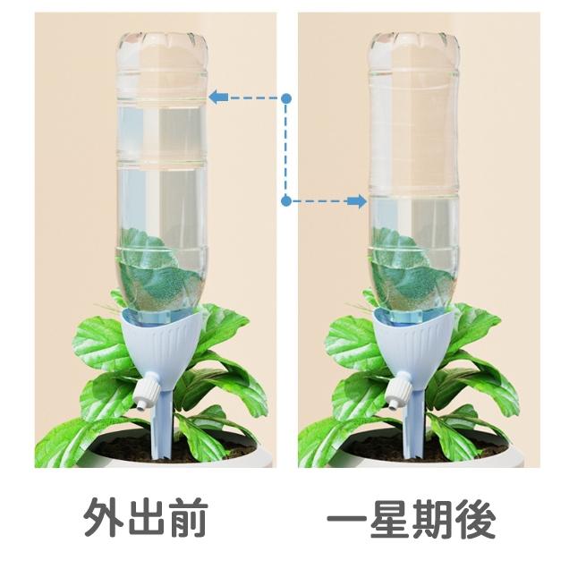 【現貨 免運🔥澆水器】自動澆水器 滴水器 澆花 澆水器 澆花器 可調節澆花器 澆花神器 盆栽澆水 園藝用品-細節圖7