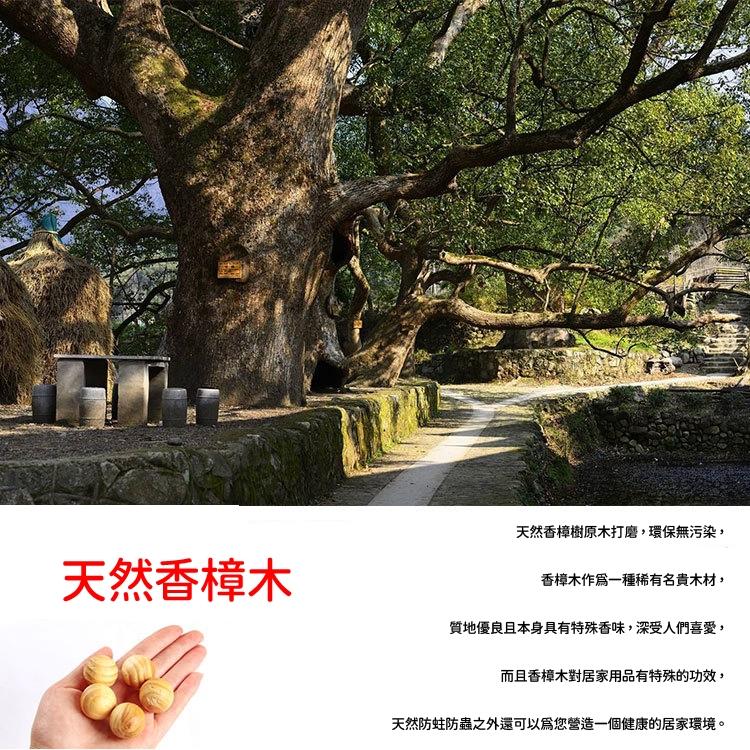 【台灣現貨🔥】天然樟木球5入 香薰木球 香樟木條 衣櫃去味衛生球 樟木球 香樟木珠 防蟲防蛀香樟腦 衣櫃驅蟲木球 樟腦球-細節圖7