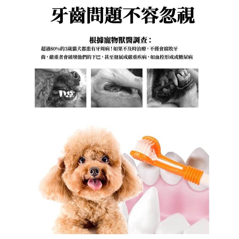 🔥台灣現貨🔥寵物牙刷牙膏套組 三頭牙刷 寵物口腔清潔 狗狗牙刷 寵物牙刷 寵物牙膏 狗牙刷 寵物牙刷 貓牙刷-細節圖2