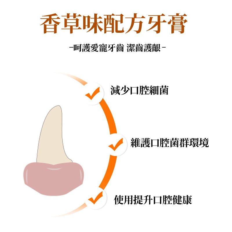 🔥台灣現貨🔥寵物牙刷牙膏套組 三頭牙刷 寵物口腔清潔 狗狗牙刷 寵物牙刷 寵物牙膏 狗牙刷 寵物牙刷 貓牙刷-細節圖6