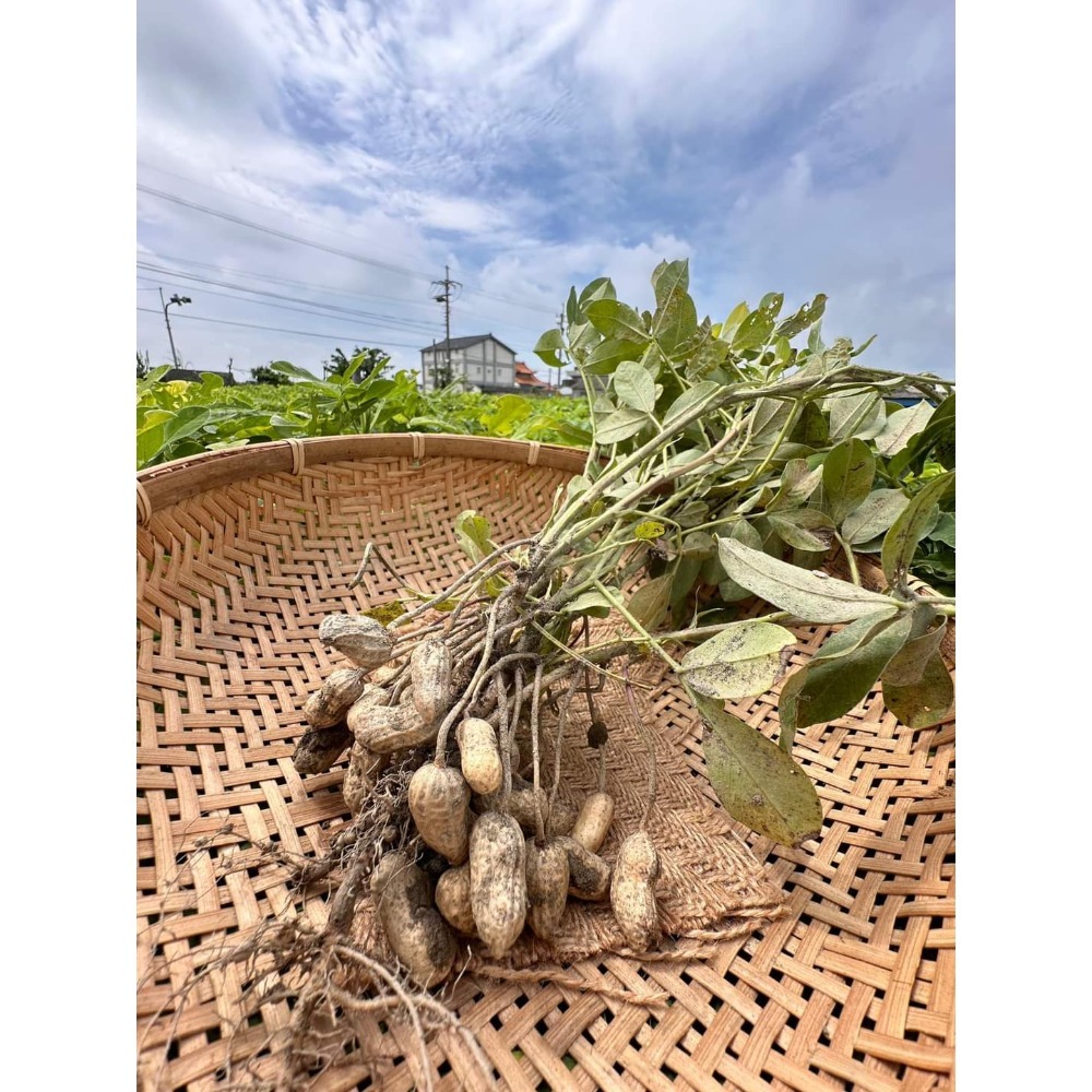 謝媽媽-9號鹽炒花生❤️-細節圖2