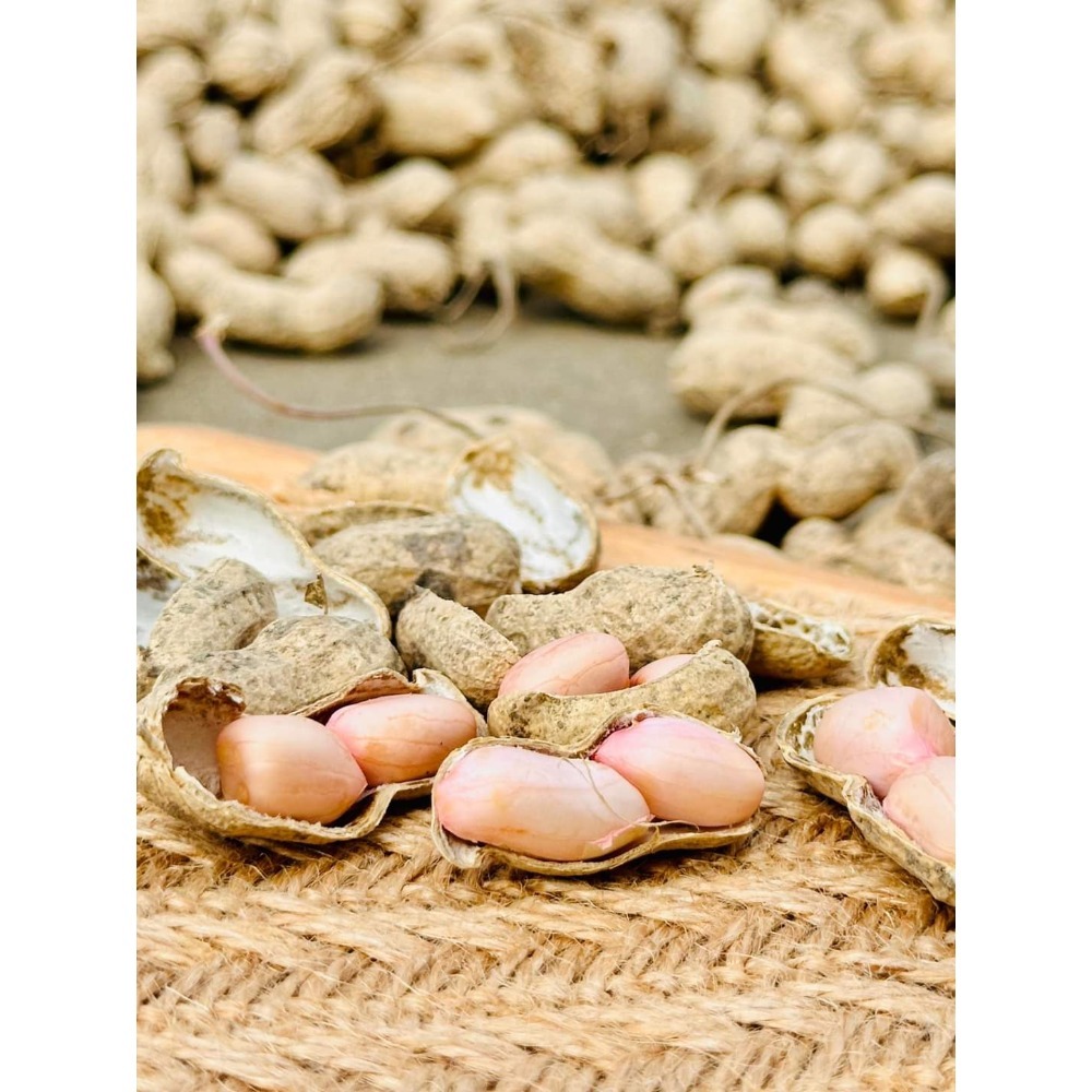 謝媽媽-9號鹽炒花生❤️-細節圖3