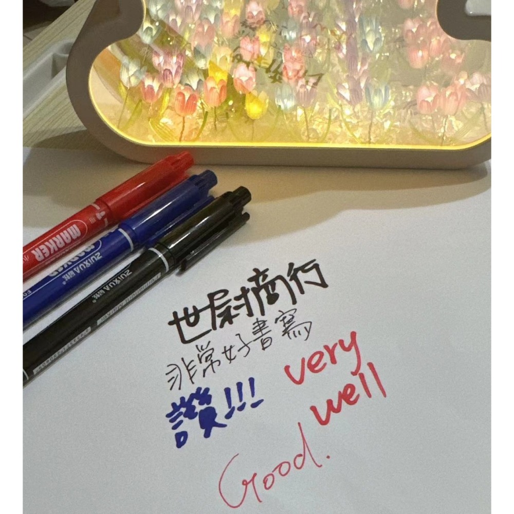 DG 買十送2 非常好寫 雙頭油性筆 0.5mm 1.5mm 油性快乾奇異筆 勾線筆 油性筆 雙頭奇異筆 鉤線筆-細節圖10