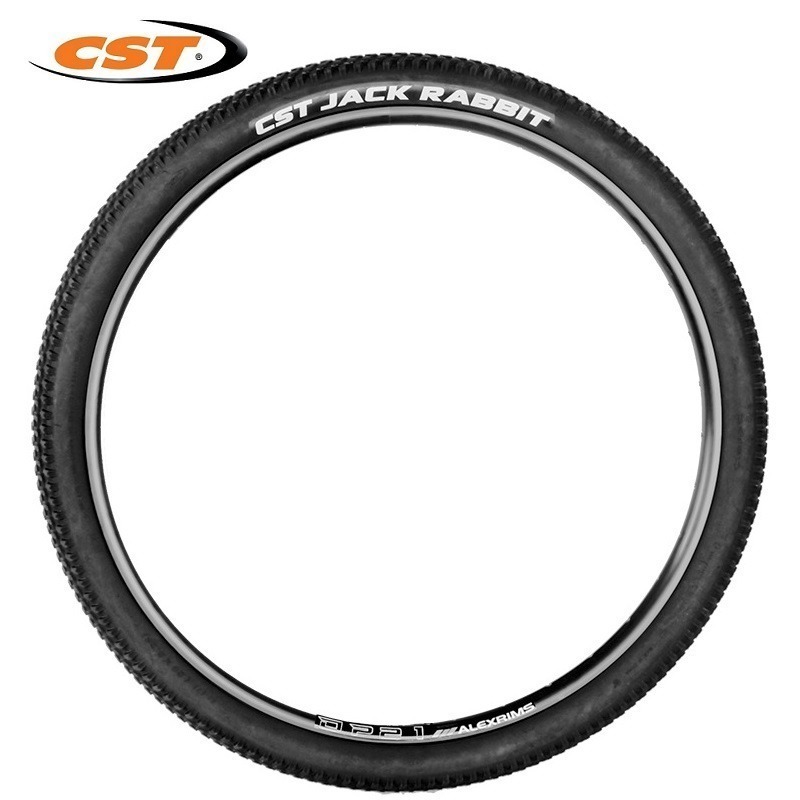 DG 正新CST 26X1.95 正新輪胎 C1747 26*1.95 自行車外胎 腳踏車外胎 美式內胎 法式內胎-細節圖4