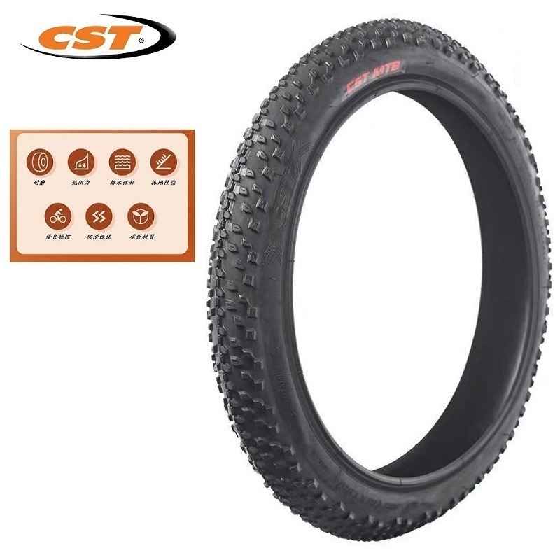 DG 14*1.9 48-254正新輪胎 14x1.9自行車CST外胎 254輪胎 14＂外胎 14吋輪胎 254外胎-細節圖5