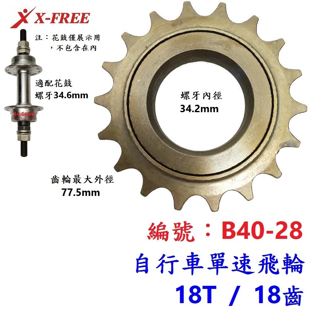 DG 自行車1速飛輪 淑女車單速飛輪 腳踏車單速飛輪 單速飛輪 1速飛輪 三輪車單速飛輪 自行車單速飛輪-細節圖7