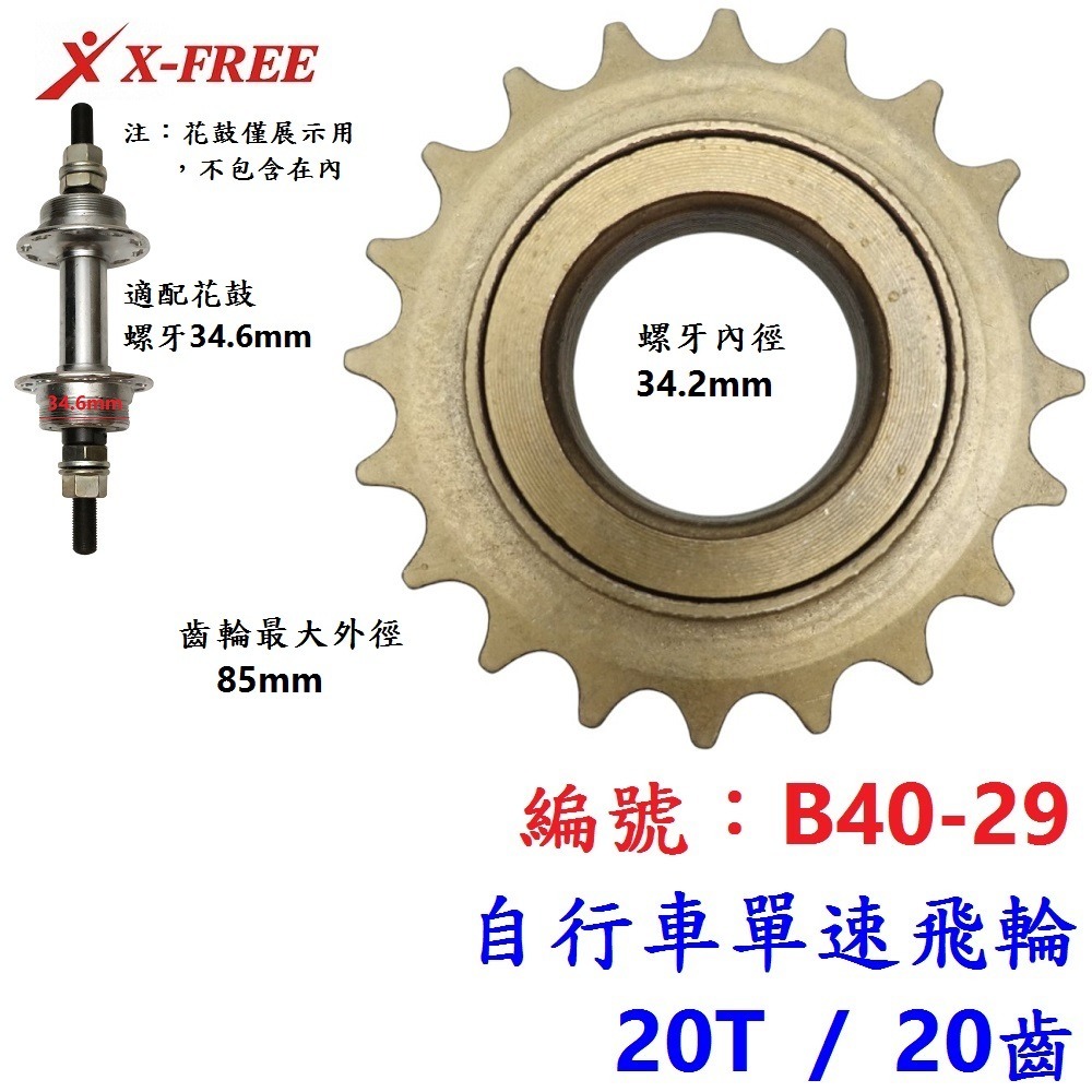 DG 自行車1速飛輪 淑女車單速飛輪 腳踏車單速飛輪 單速飛輪 1速飛輪 三輪車單速飛輪 自行車單速飛輪-細節圖8