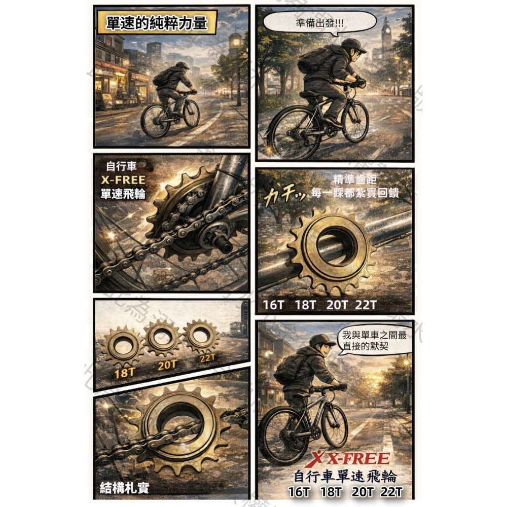 DG 自行車1速飛輪 淑女車單速飛輪 腳踏車單速飛輪 單速飛輪 1速飛輪 三輪車單速飛輪 自行車單速飛輪-細節圖10