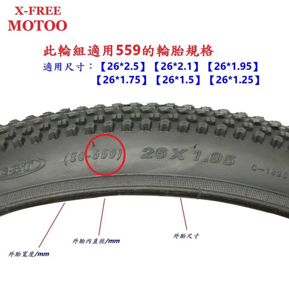 DG 26吋登山車後輪組 鎖牙式輪組 26吋輪框 559輪框 26＂輪框 559輪組 26＂輪組 26吋後輪 26＂後輪-細節圖6