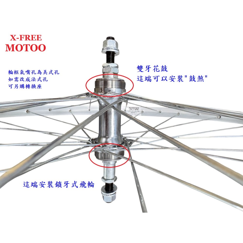 DG 26吋登山車後輪組 鎖牙式輪組 26吋輪框 559輪框 26＂輪框 559輪組 26＂輪組 26吋後輪 26＂後輪-細節圖9