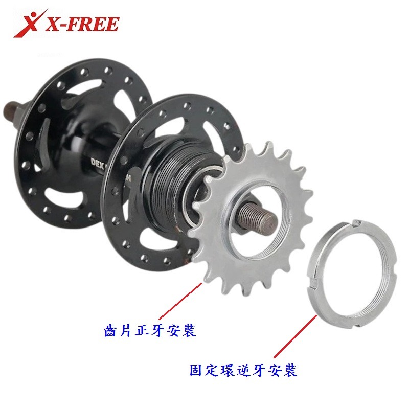 DG 單速車用死飛 場地車飛輪 特技車飛輪 死飛後齒輪 死飛飛輪 自行車死飛 死飛輪 飛輪齒片 死飛齒片-細節圖5
