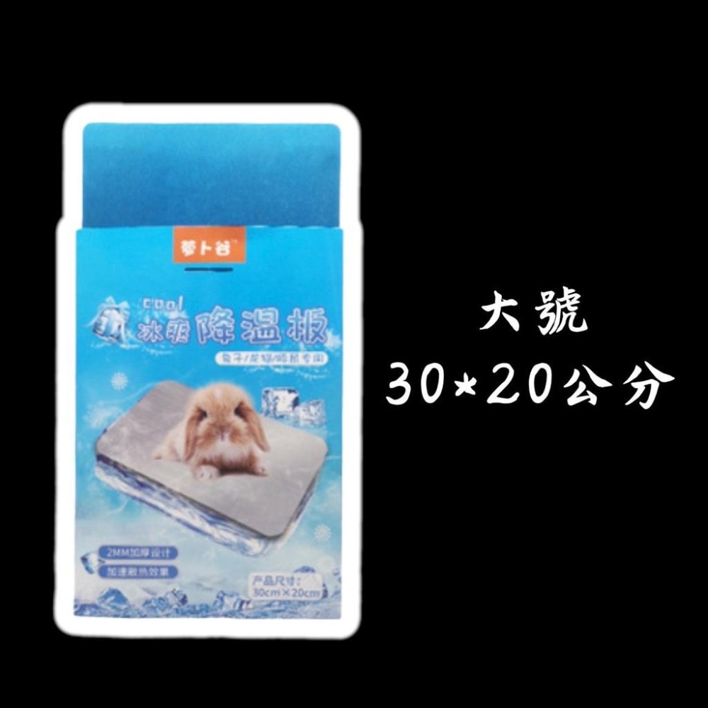 降溫板 小動物散熱板 降溫板 冰墊 涼感散熱板 小寵降溫板 散熱涼墊 散熱墊 涼墊 降溫鋁板 倉鼠 老鼠 兔子 龍貓-細節圖2