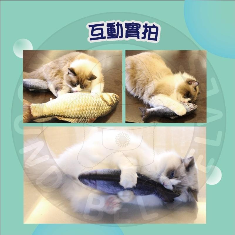 跳跳魚 貓玩具 電動跳跳魚 貓玩具魚 貓咪玩具 會跳的魚 自動貓玩具 電動貓草魚 貓咪互動玩具 逗貓玩具 自動逗貓草魚-細節圖2