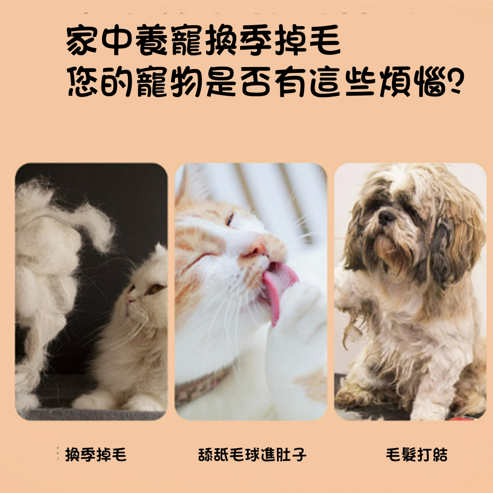現貨寵物除毛梳貓狗按摩除毛梳 寵物梳寵物美容梳寵物美容寵物 寵物梳 寵物去毛 貓餅梳寵物毛髮護理 寵物除毛速寄寵物去浮毛-細節圖4