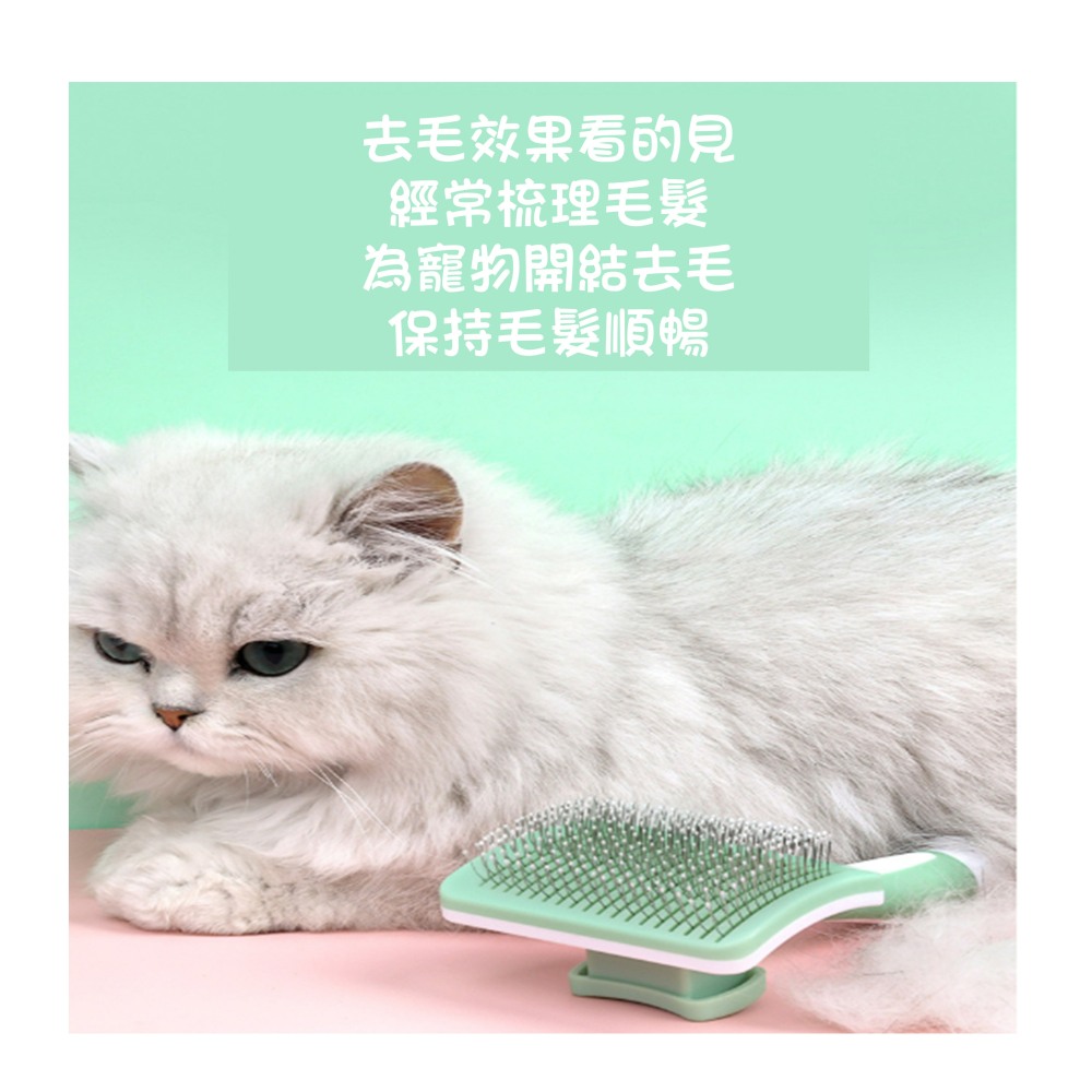 現貨寵物除毛梳貓狗按摩除毛梳 寵物梳寵物美容梳寵物美容寵物 寵物梳 寵物去毛 貓餅梳寵物毛髮護理 寵物除毛速寄寵物去浮毛-細節圖8