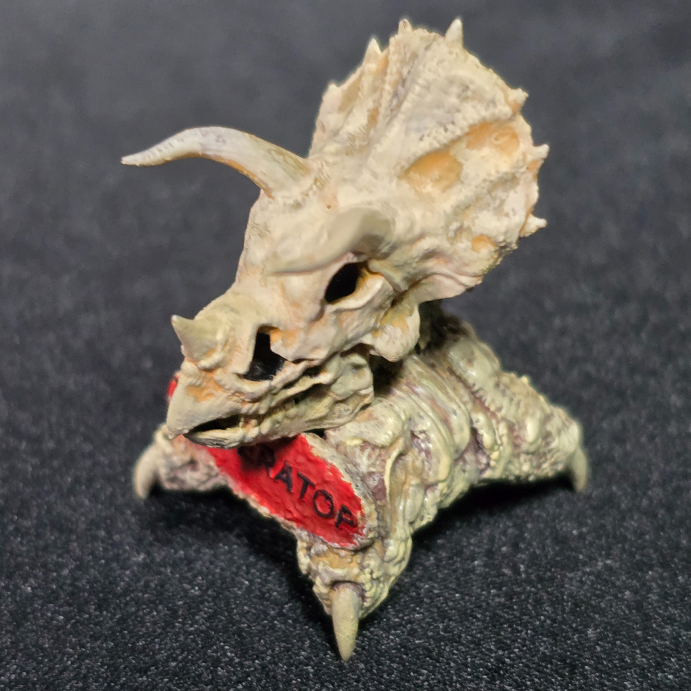 三角龍擺設 Triceratops Skull Fossil Display-細節圖3