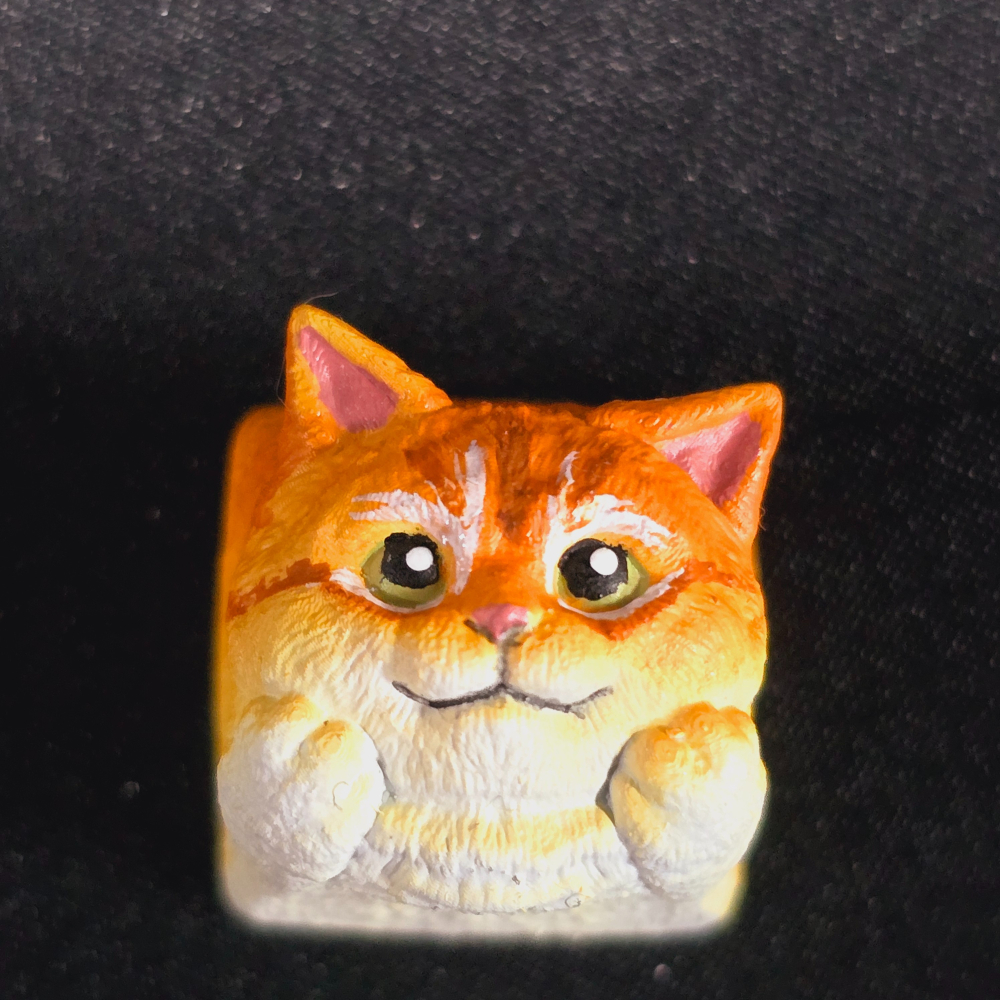 金銀漸層/黃橘虎斑貓-細節圖2