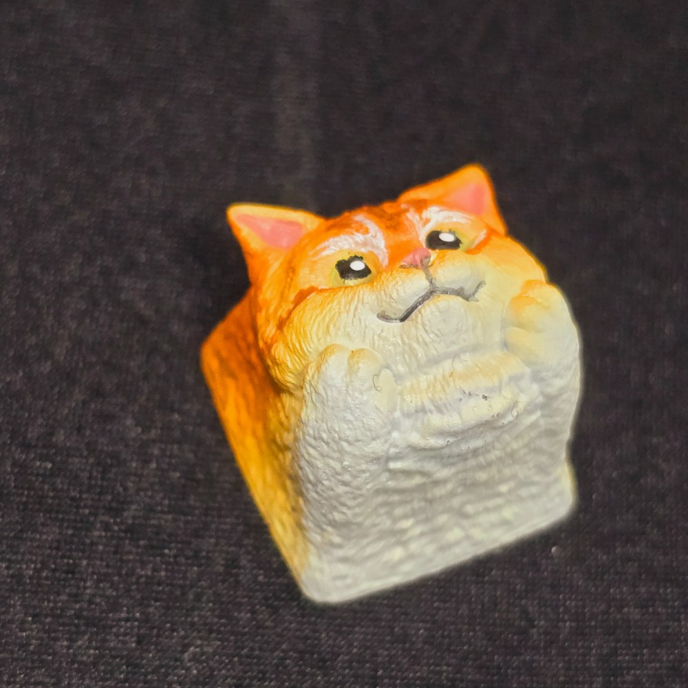 金銀漸層/黃橘虎斑貓-細節圖3