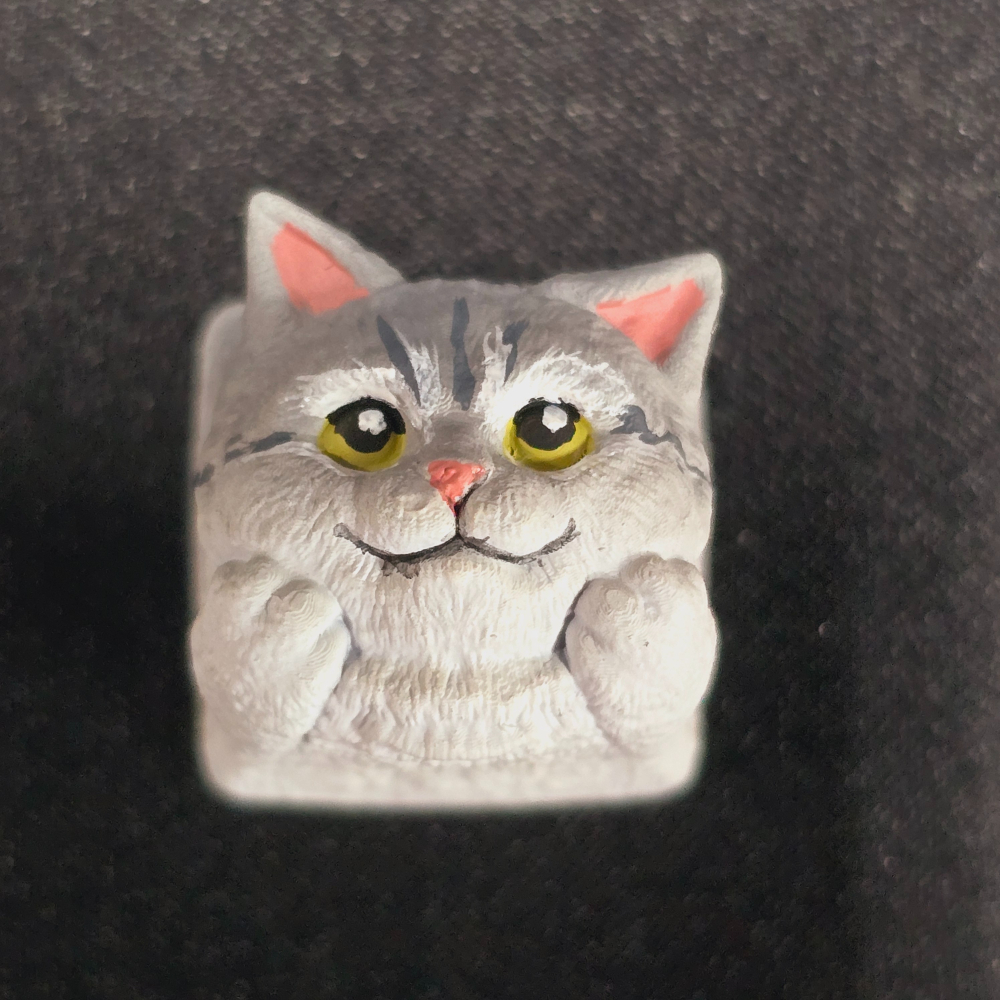 金銀漸層/黃橘虎斑貓-細節圖7