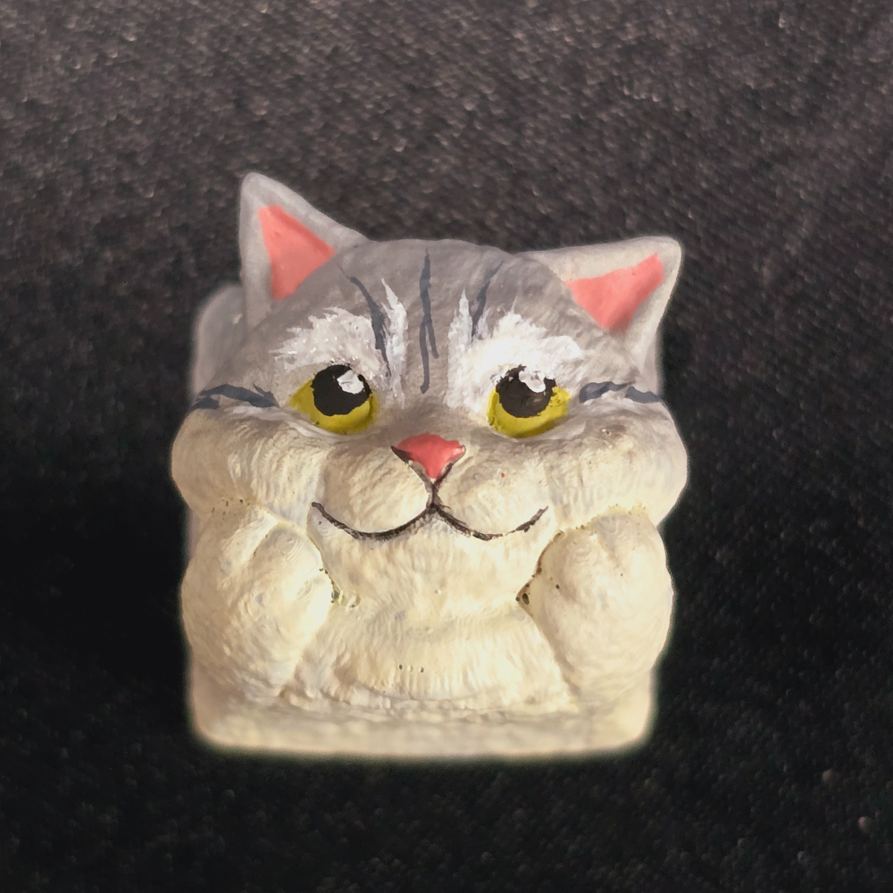 金銀漸層/黃橘虎斑貓-細節圖9