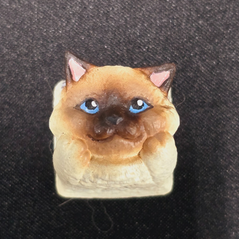 托著臉的佈偶貓鍵帽Ragdoll cat-規格圖1