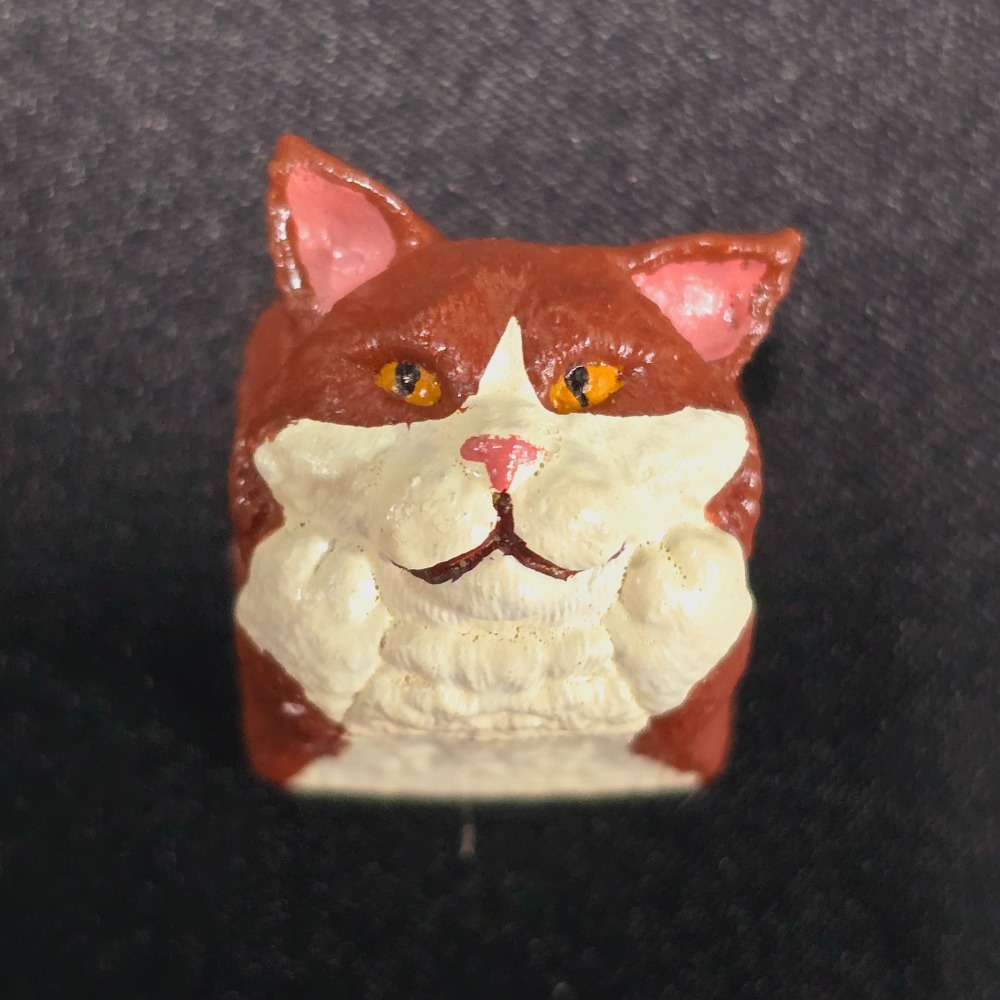 托著臉的緬因貓鍵帽Maine Coon-規格圖10