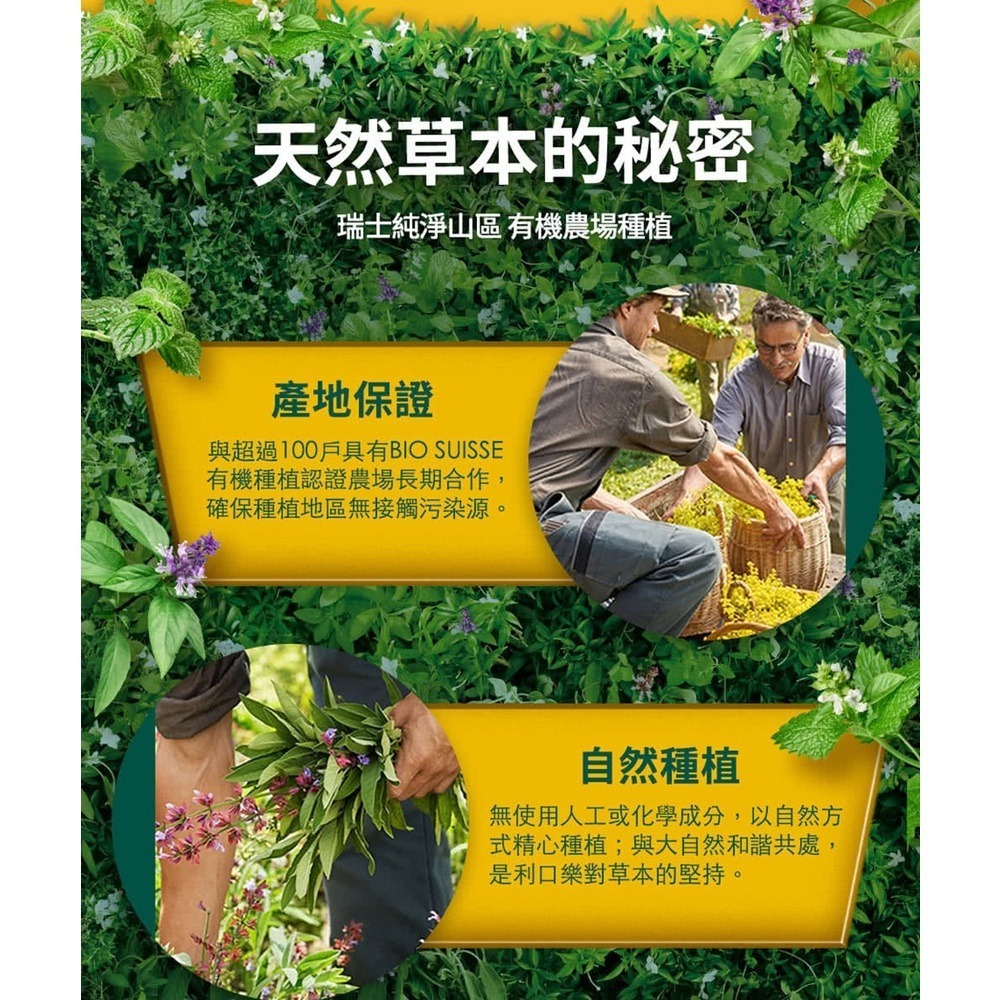 瑞士利口樂草本潤喉糖 草本喉糖 原味100g 檸檬香草100g-細節圖3