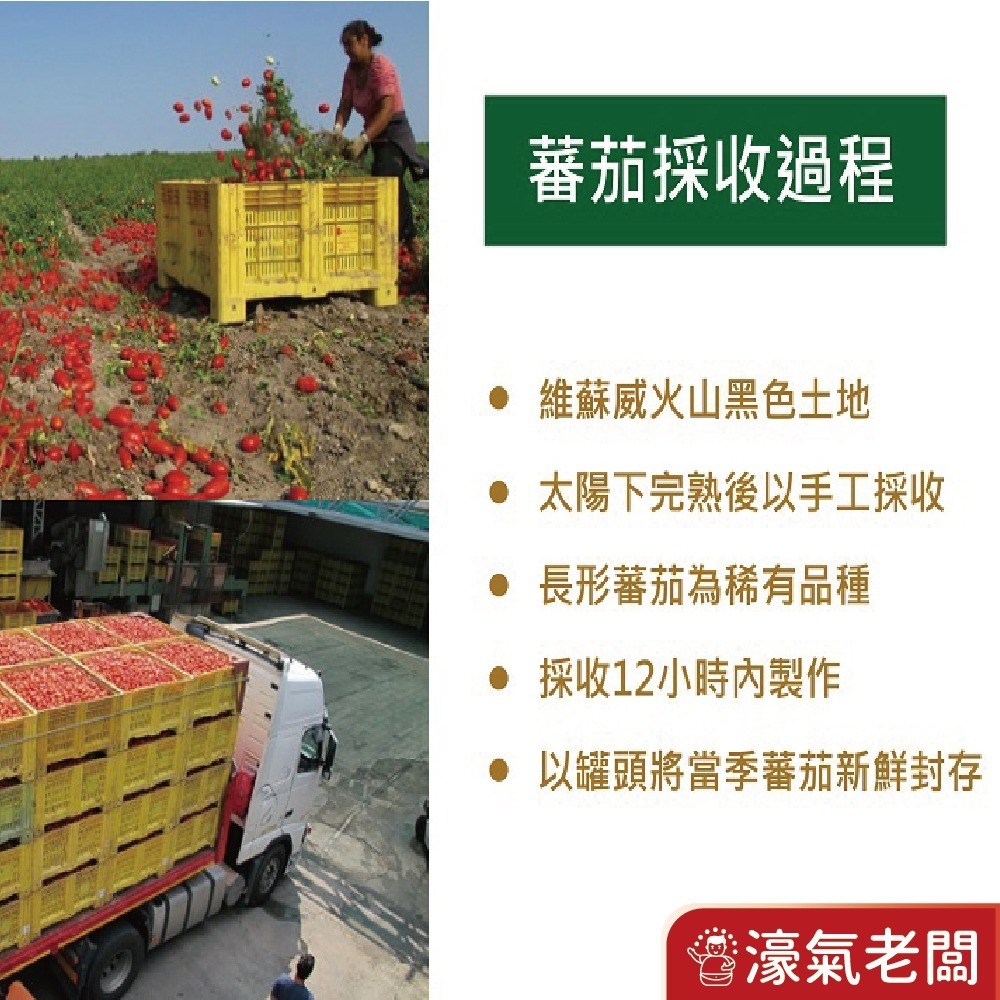 義大利ORO去皮整顆蕃茄 去皮切丁蕃茄罐頭400公克  燉煮 清炒 【濠氣老闆】-細節圖4