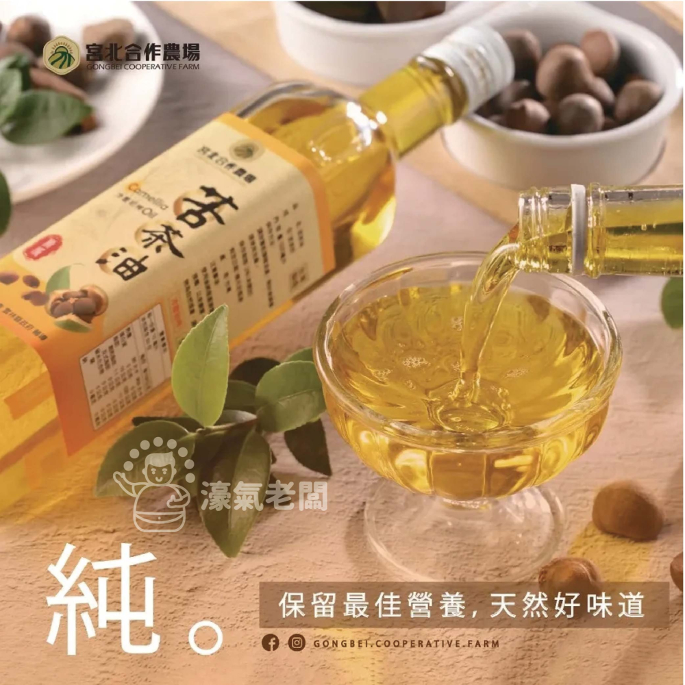 宮北合作農場 冷壓初榨苦茶油250ml 苦茶油 冷壓初榨 苦茶油農會 食用油 涼拌 全素 台灣製造【濠氣老闆】-細節圖4