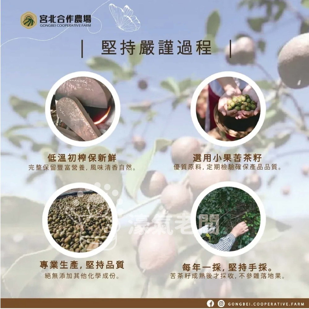 宮北合作農場 冷壓初榨苦茶油250ml 苦茶油 冷壓初榨 苦茶油農會 食用油 涼拌 全素 台灣製造【濠氣老闆】-細節圖8