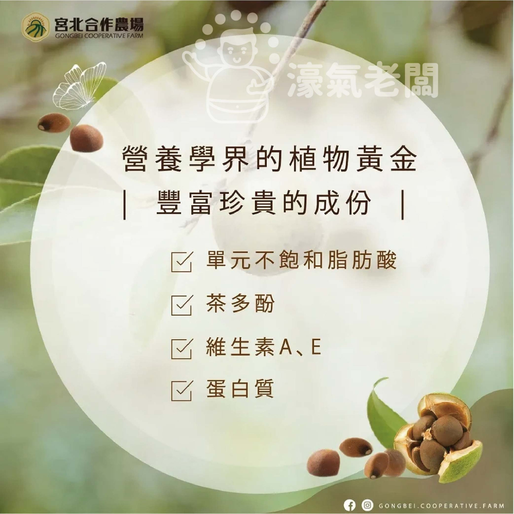 宮北合作農場 冷壓初榨苦茶油250ml 苦茶油 冷壓初榨 苦茶油農會 食用油 涼拌 全素 台灣製造【濠氣老闆】-細節圖9
