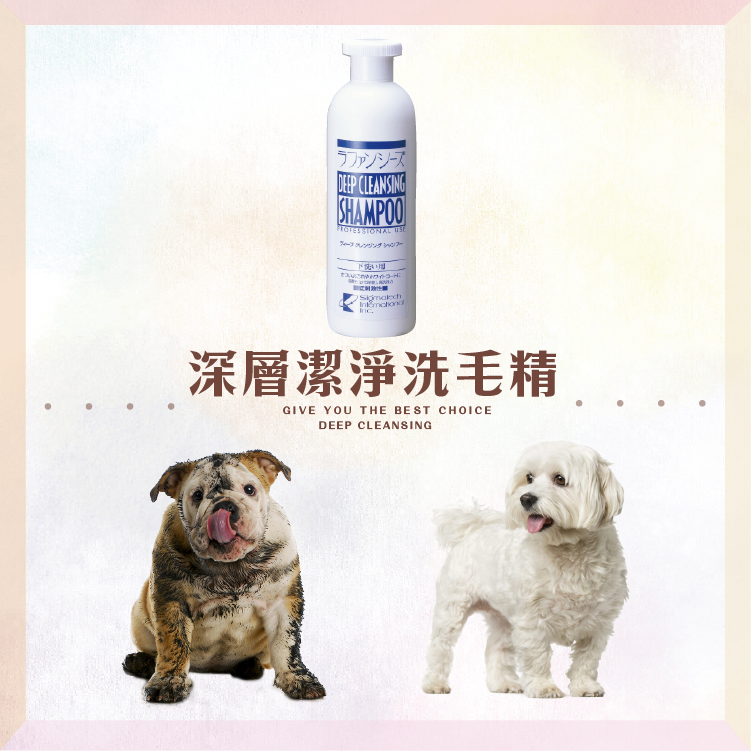 Lafancy‘s 深層潔淨洗毛精 Deep Cleansing Shampoo-規格圖4