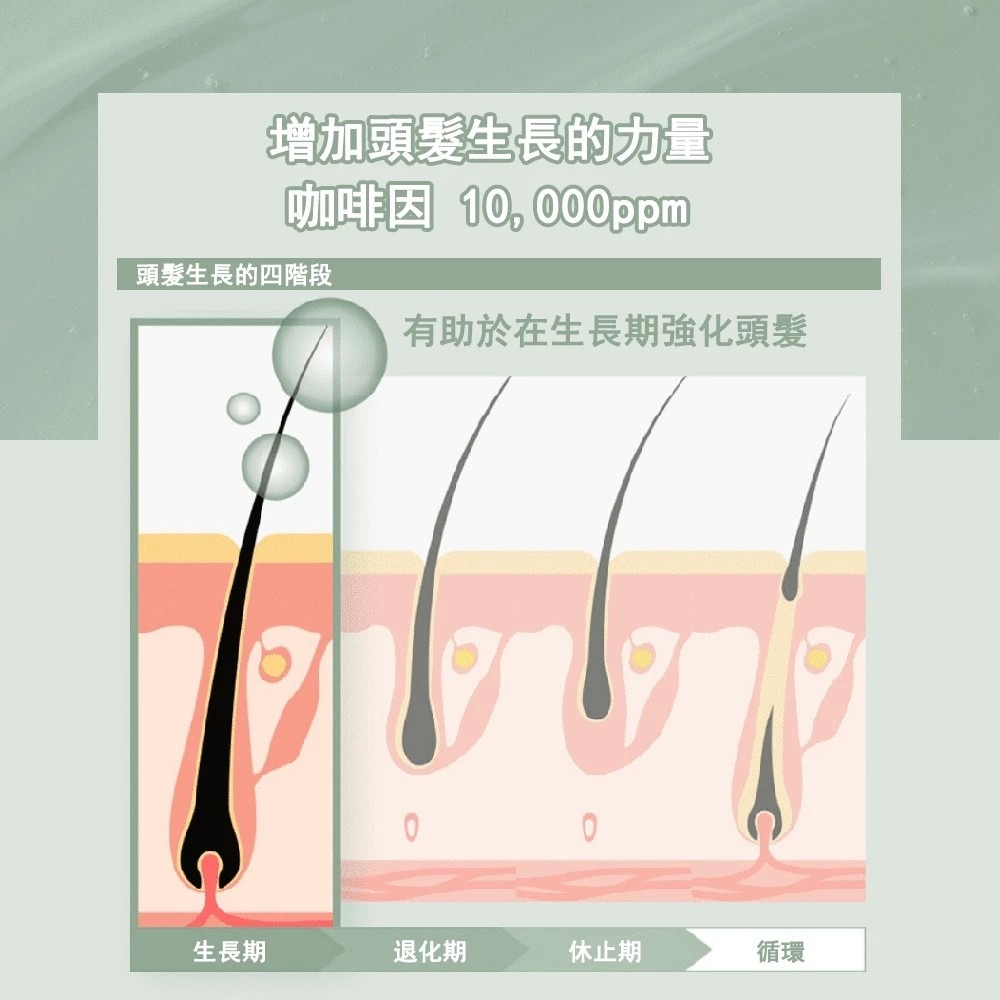 FLOLAND 活絡頭皮修護精華(強健髮根)30ml-細節圖4