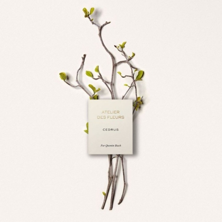 【劉海香氛】CHLOE 仙境花園系列香氛三件組禮盒-細節圖2