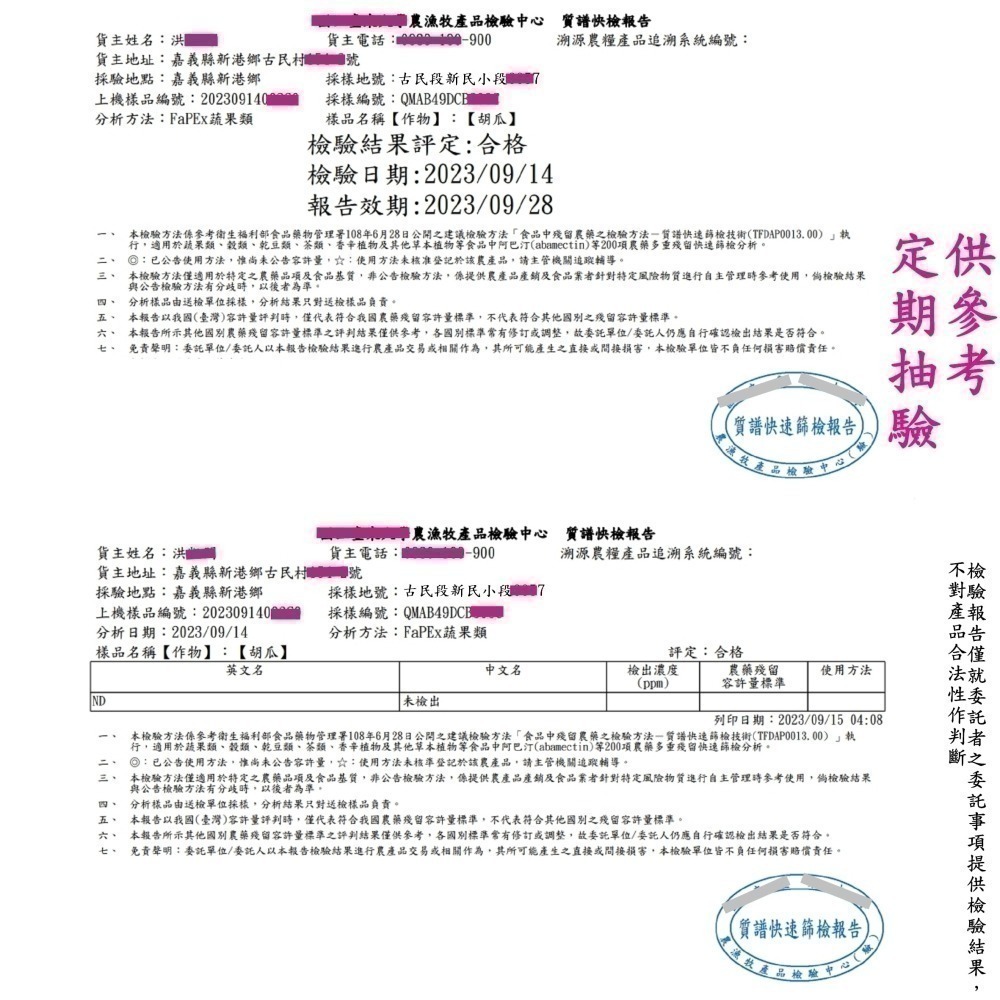 《溫室青農》水果小黃瓜 500g $70 適合生吃/醃製的水果小黃瓜,現採自產自賣,水果黃瓜煮食亦可,非小黃瓜種子-細節圖7