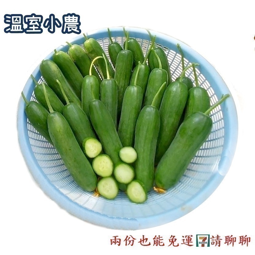 水果小黃瓜 600g $100 現採自產自賣 《溫室小農》-細節圖7