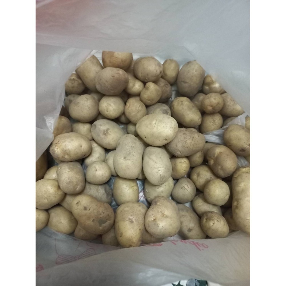 馬鈴薯(小) 600g $40， 預計2月下旬採收 ，炸薯條好吃唷-細節圖2