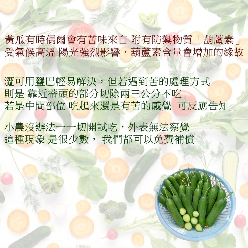 青色水果小黃瓜 500g $85 現採自產自賣《溫室小農》-細節圖3
