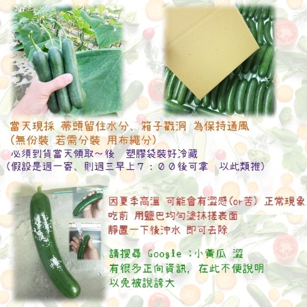 青色水果小黃瓜 500g $85 現採自產自賣《溫室小農》-細節圖2