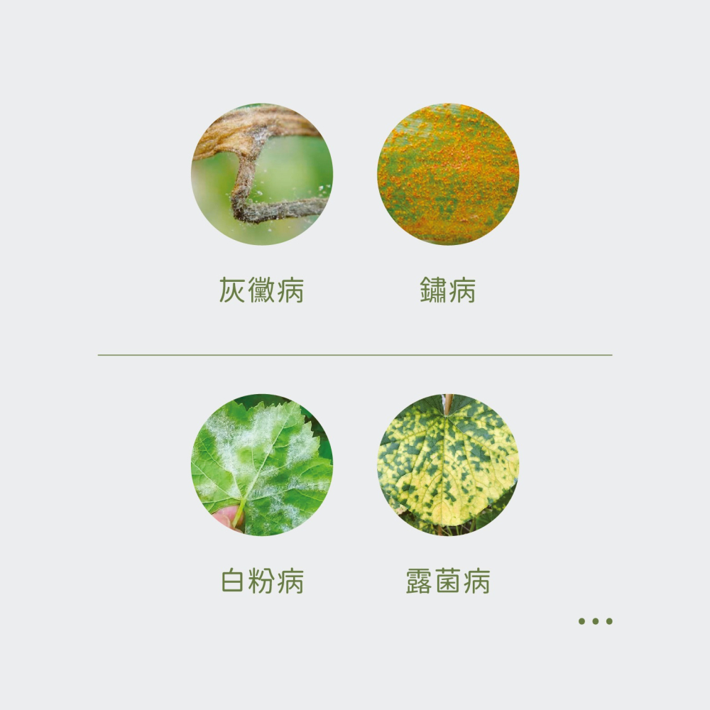 【Earth Stuff】園藝植栽專用天然除蟲液-植無露PLUS+-細節圖5
