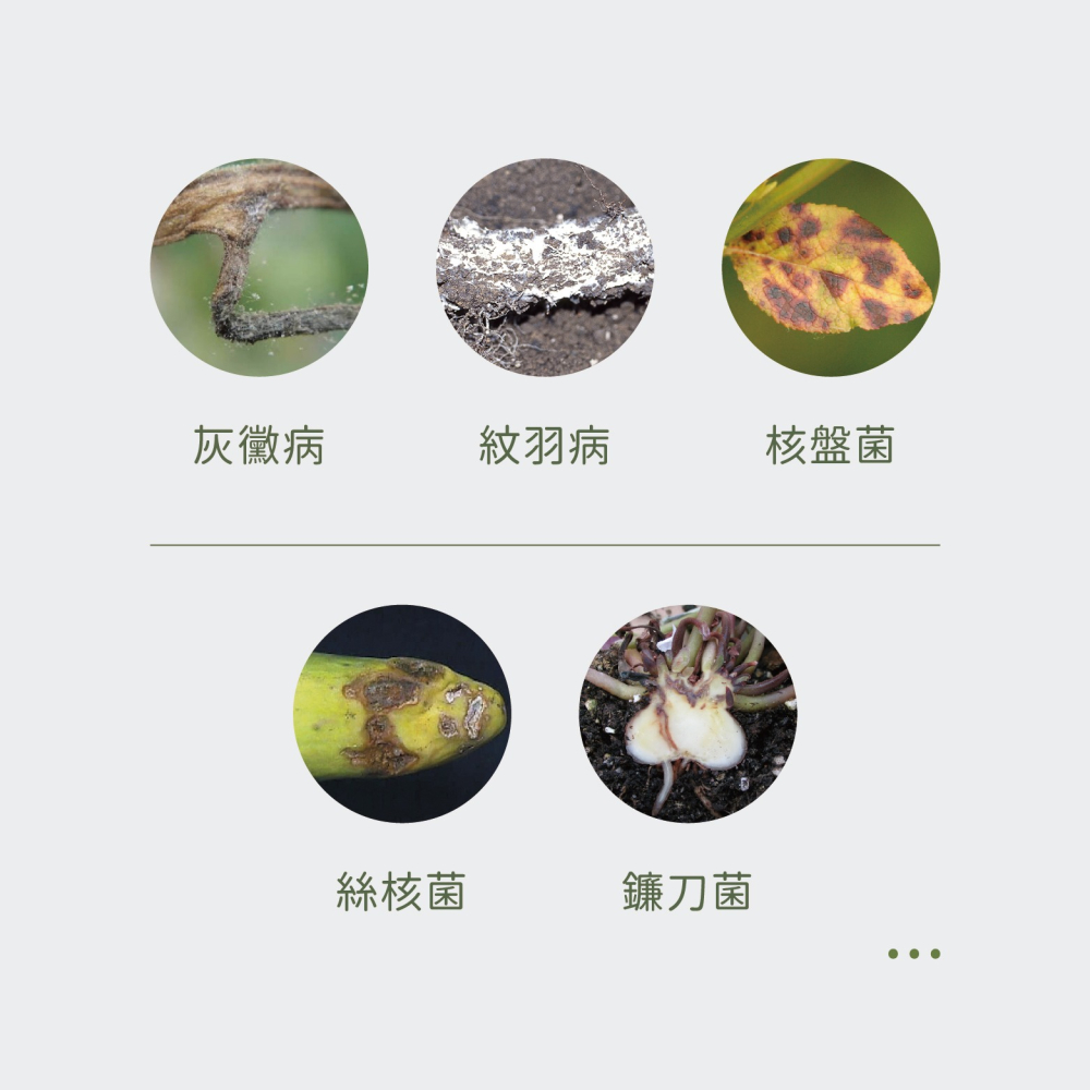 【Earth Stuff】園藝植栽專用天然驅蟲液-苦無露PLUS+-細節圖5