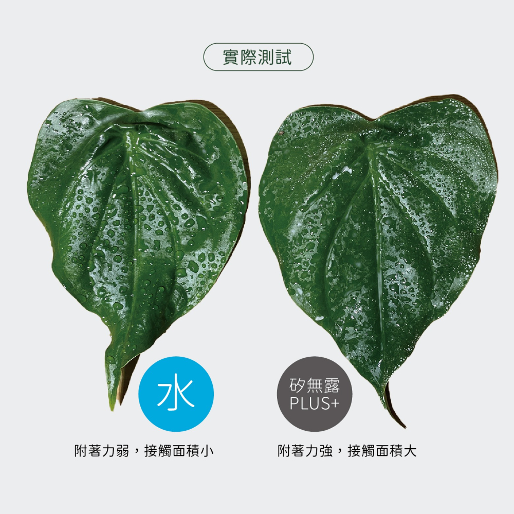 【Earth Stuff】園藝植栽專用天然除蟲液-矽無露PLUS+-細節圖3
